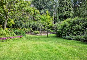 Optimiser l'expérience du jardin à Thorigne-sur-Due